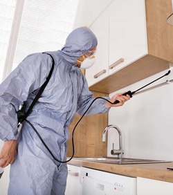 Cheap Pest Control near me exterminator Cost Price